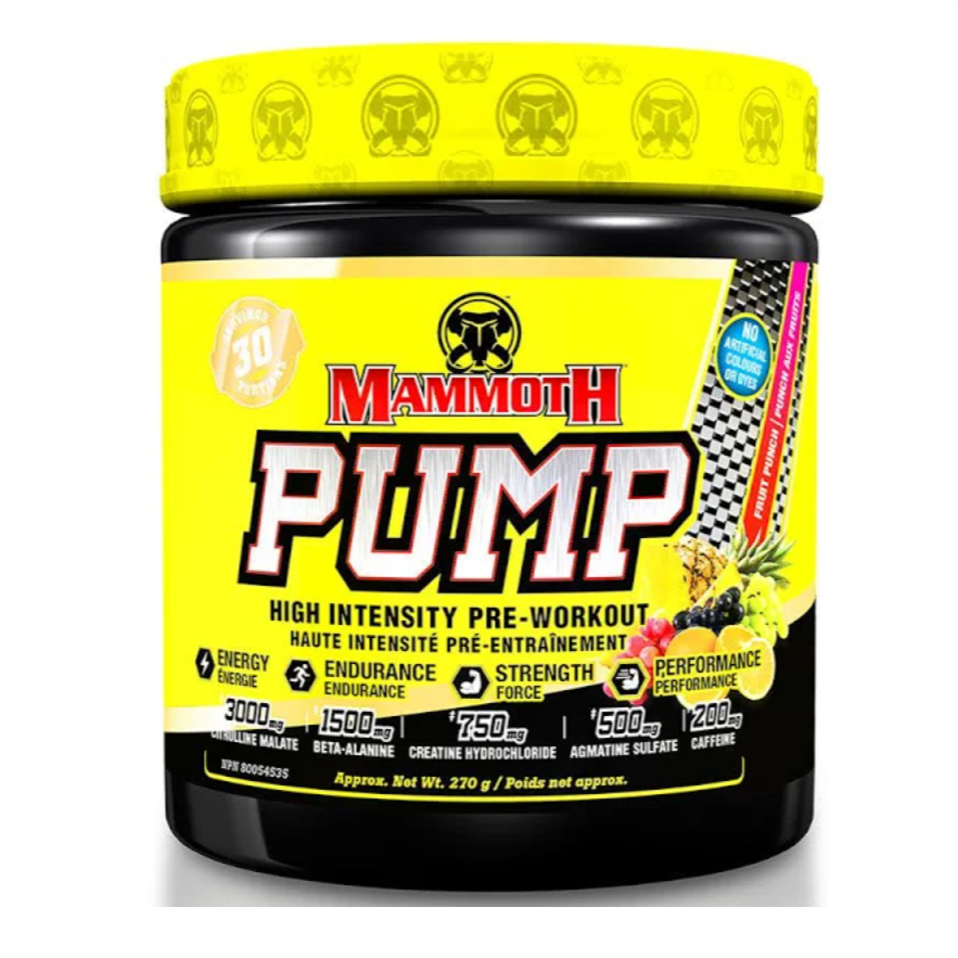 Mammoth Pump