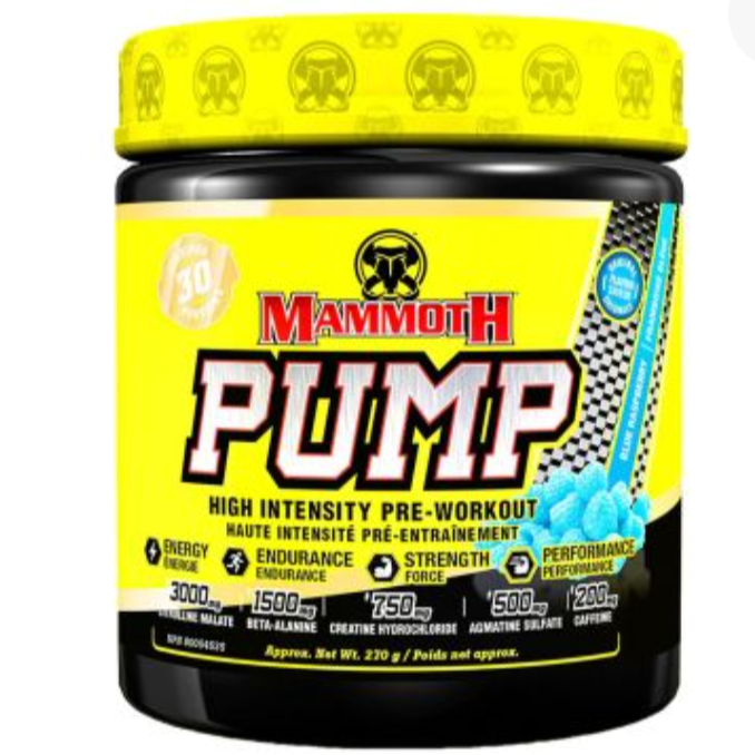 Mammoth Pump